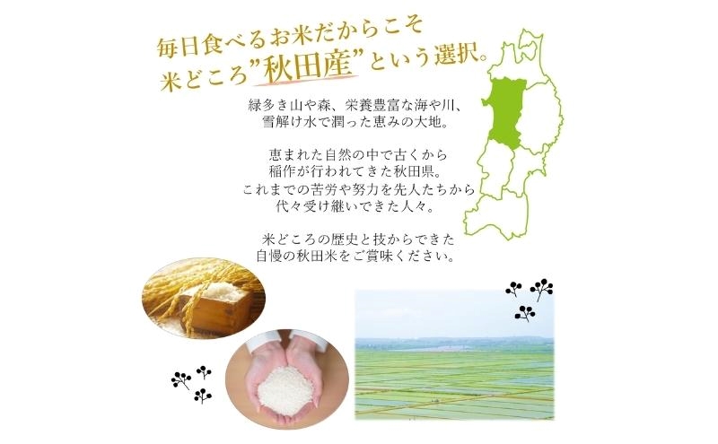 令和7年産 食べ比べ セット 精米 白米 ひとめぼれ＆あきたこまち 各5kg 計10kg 秋田県 能代市産 お米 ブランド米