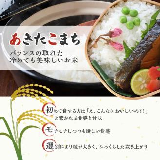 令和7年 秋田県産 あきたこまち 10kg (5kg×2袋) 精米 白米 米 お米 おこめ こめ コメ 令和7年産 ブランド米 ご飯 秋田 秋田県 能代市