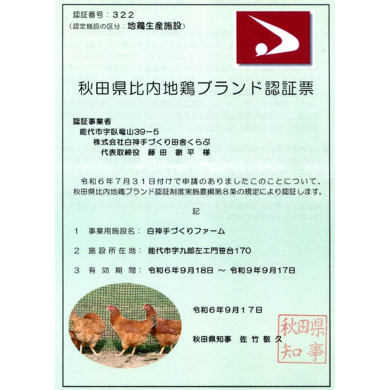 焼鳥セット 比内地鶏 贅沢 やきとり セット 12本 (500g) 5種 詰め合わせ ももむね レバー 砂肝串 いかだ 皮 焼き鳥 焼鳥 地鶏 鶏 鶏肉 お肉 肉 アウトドア キャンプ BBQ 秋田 秋田県 能代市