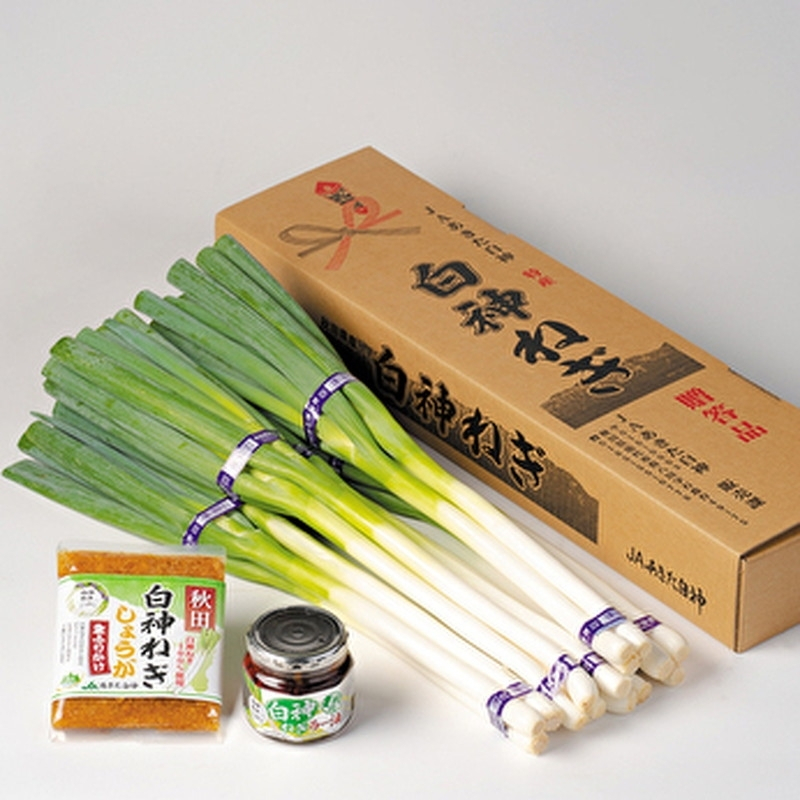 	 【10月～翌2月限定出荷】あきた白神のギフト 3種セット（白神ねぎ・白神ねぎラー油・白神ねぎしょうが生ふりかけ) 野菜