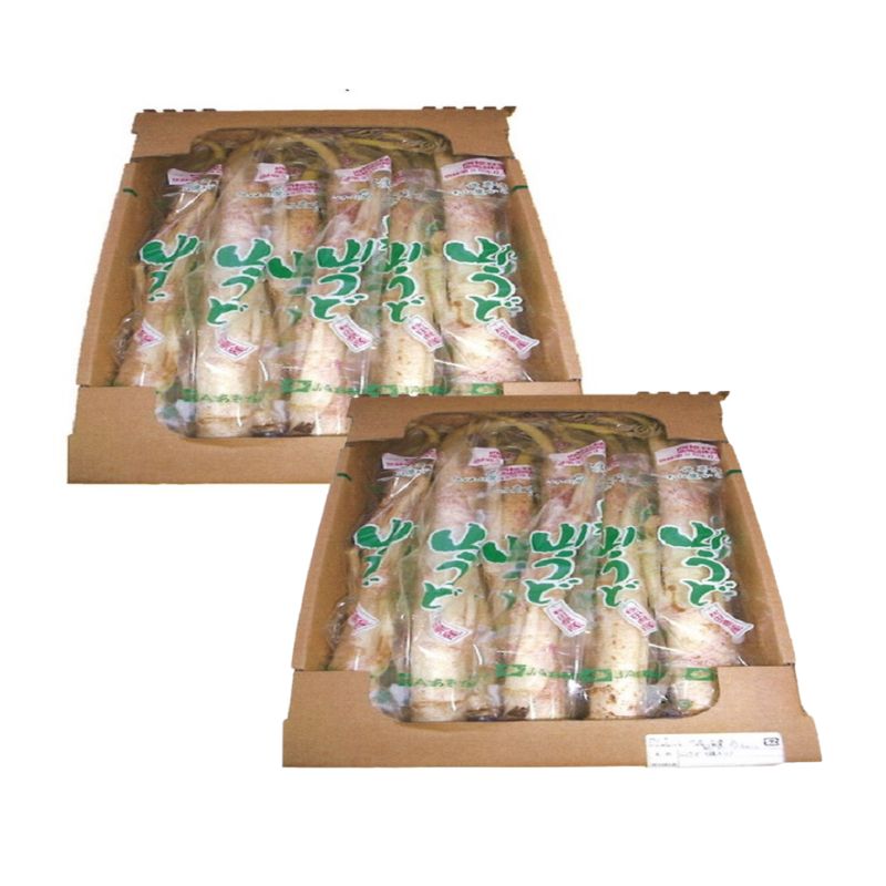 【2月～3月期間限定出荷】白神山うど 2ケース 3L 2L 秋田県 能代市 山菜