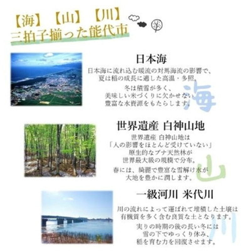 令和7年産 あきたこまち 精米 5kg 秋田県産 お米 米 ごはん ご飯 単一原料米