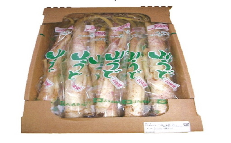 【2月～3月期間限定出荷】白神山うど 1ケース 3L 2L 秋田県 能代市 山菜