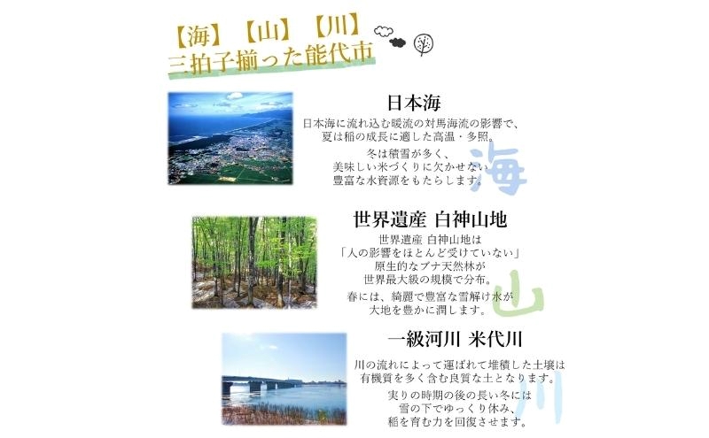 令和7年産 食べ比べ セット 精米 白米 ひとめぼれ＆あきたこまち 各5kg 計10kg 秋田県 能代市産 お米 ブランド米