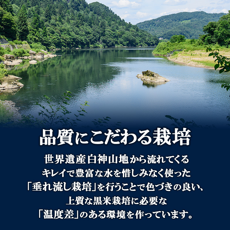 白神古代米 黒米 1kg 2袋 米 お米 こめ おこめ コメ くろまい 古代米 雑穀米 ご飯 アントシアニン ビタミン ミネラル 食物繊維 健康 美容 健康食品 秋田 秋田県 能代市