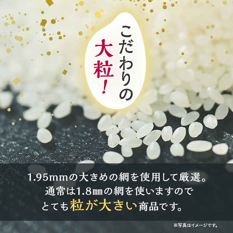 新米 先行予約 令和8年産[無洗米]【定期便3ヶ月】秋田県産 