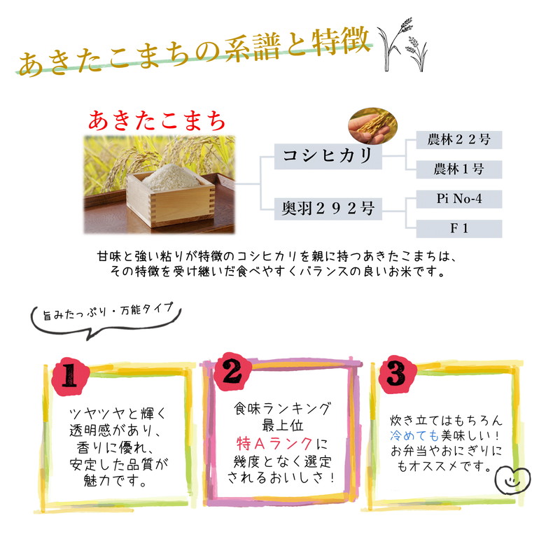 令和7年産 あきたこまち 精米 10kg（5kg×2袋） 秋田県産 お米 米 ごはん ご飯 単一原料米