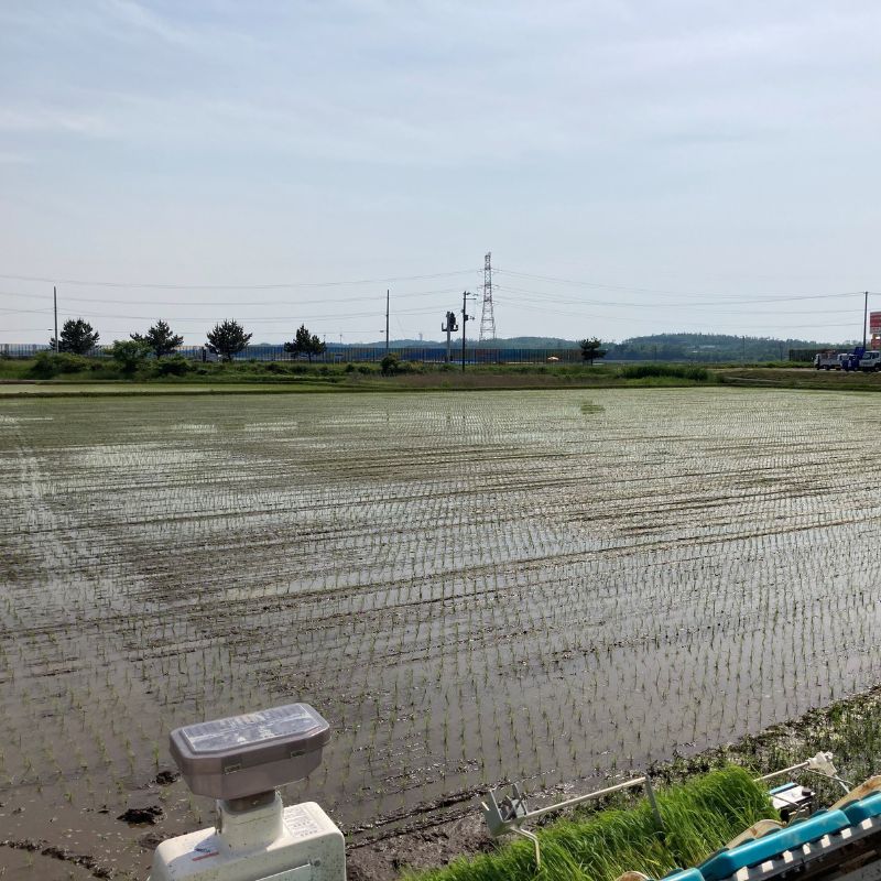 《定期便2ヶ月》白米 ★つきたて新鮮★ うまい!! 本場のあきたこまち 10kg×2回 合計20kg 精米 ご飯 ブランド米 おにぎり 令和7年産 産地直送 おこめ ごはん 秋田県 秋田 能代市