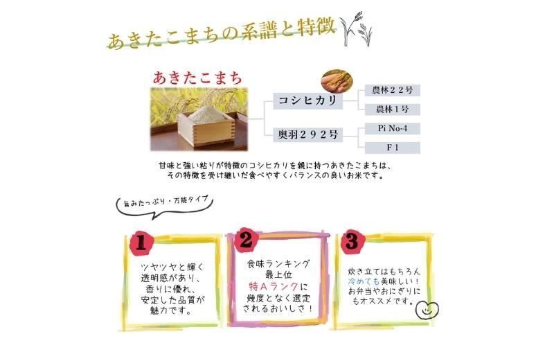 令和7年産 食べ比べ セット 玄米 ひとめぼれ＆あきたこまち 各5kg 計10kg 秋田県 能代市産 お米 ブランド米