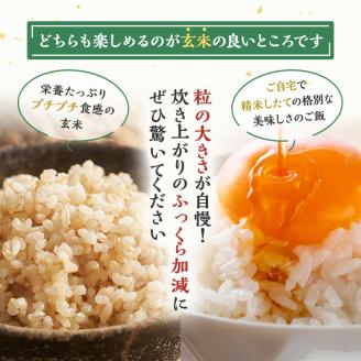 玄米 令和7年 秋田県産 あきたこまち 10kg (5kg×2袋)米 お米 おこめ こめ コメ 令和7年産 ブランド米 ご飯 秋田 秋田県 能代市
