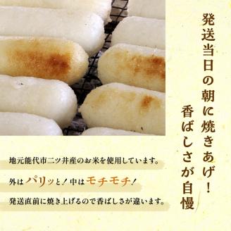 きりたんぽ鍋セット 令和7年産 新米使用 比内地鶏 セット 詰め合わせ 鍋セット きりたんぽ鍋 きりたんぽ 地鶏 スープ 野菜付き 鍋料理 郷土料理 秋田県 能代市 ※必ず配送日をご指定ください