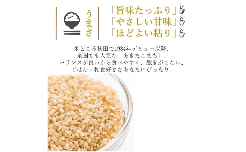 令和7年産 食べ比べ セット 玄米 ひとめぼれ＆あきたこまち 各5kg 計10kg 秋田県 能代市産 お米 ブランド米