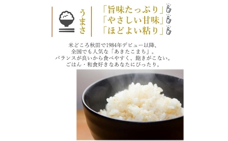 令和7年産 食べ比べ セット 精米 白米 ひとめぼれ＆あきたこまち 各5kg 計10kg 秋田県 能代市産 お米 ブランド米