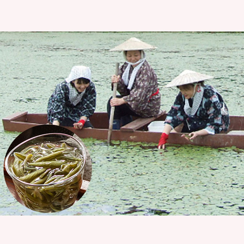 白神特選 じゅんさい鍋セット じゅんさい小町 4～5人前 セット 詰め合わせ じゅんさい 白神地鶏肉 稲庭うどん 鶏鍋 鍋セット 地鶏 鍋 スープ 具材 野菜付き 鍋料理 鍋物 郷土料理 秋田県 能代市