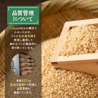 玄米 令和7年 秋田県産 あきたこまち 10kg 米 お米 おこめ こめ コメ 令和7年産 ブランド米 ご飯 秋田 秋田県 能代市