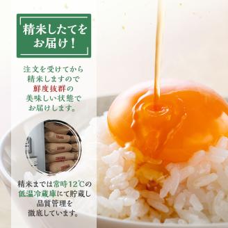 令和7年 秋田県産 あきたこまち 10kg (5kg×2袋) 精米 白米 米 お米 おこめ こめ コメ 令和7年産 ブランド米 ご飯 秋田 秋田県 能代市