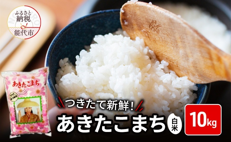 秋田県産 あきたこまち 10kg 令和7年産  精米 [ ご飯 ブランド米 おにぎり 本場 お米 産地直送 おこめ ごはん 秋田県 秋田 能代市 保坂米穀店 ]