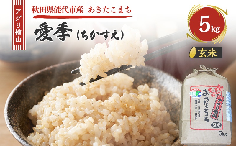 令和7年産 アグリ檜山米 愛季(ちかすえ) 玄米 5kg  あきたこまち  お米 おこめ こめ コメ ごはん ご飯 大粒 令和7年  秋田 秋田県 能代市
