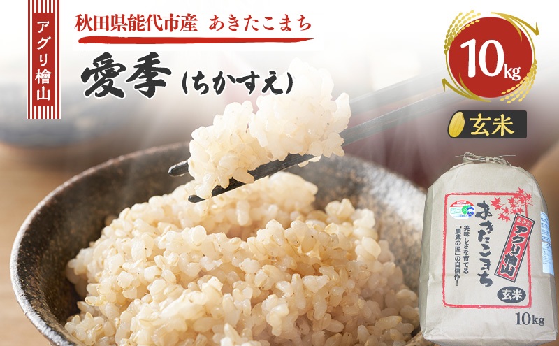 令和7年産 アグリ檜山米 愛季(ちかすえ) 玄米 10kg  あきたこまち  お米 おこめ こめ コメ ごはん ご飯 大粒 令和7年  秋田 秋田県 能代市