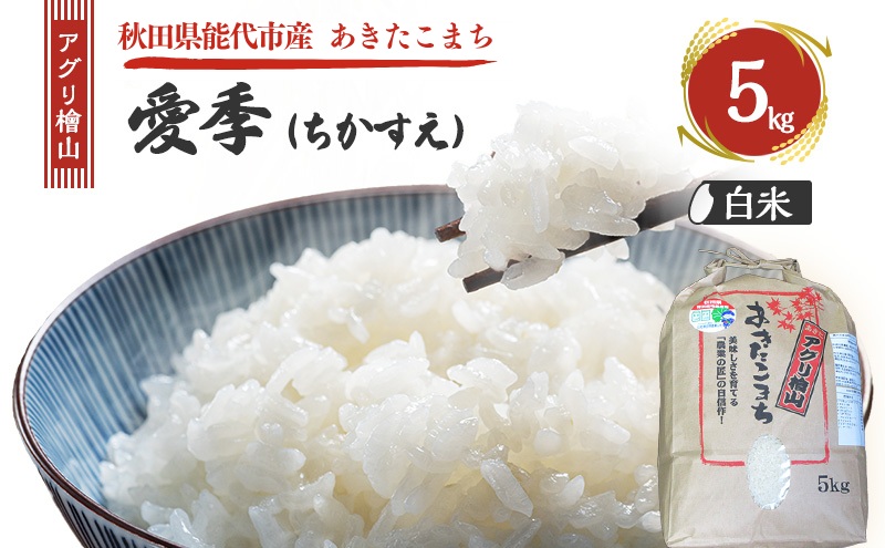 令和7年産 新米 アグリ檜山米 愛季(ちかすえ) 白米 5kg  あきたこまち  精米 お米 おこめ こめ コメ ごはん ご飯 大粒 令和7年  秋田 秋田県 能代市