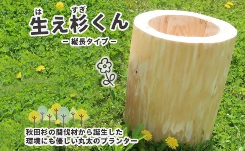 里山くらし応援 木工品 秋田杉の丸太プランター「生え杉くん（はえすぎくん）」縦長タイプ