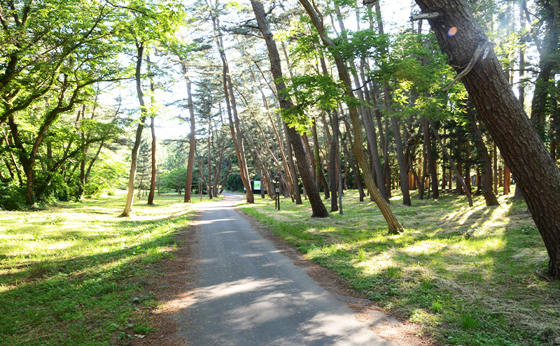 【返礼品なし】秋田県能代市への寄付 応援 支援 寄附のみ 30,000円【能代市ふるさと納税】