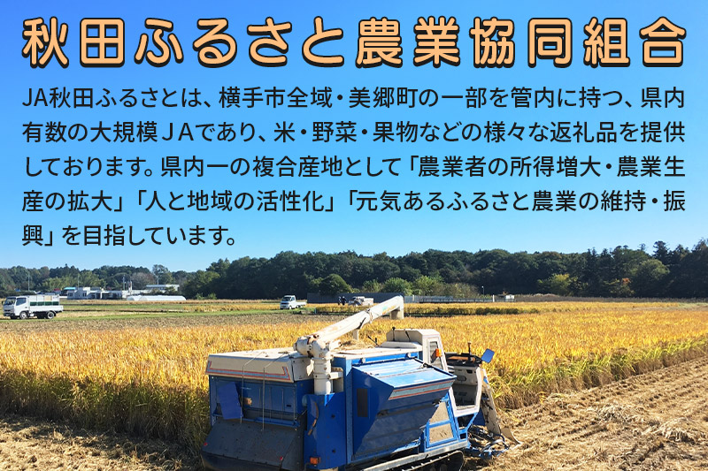 果汁100％ JA秋田ふるさとストレートりんごジュース180g×30P