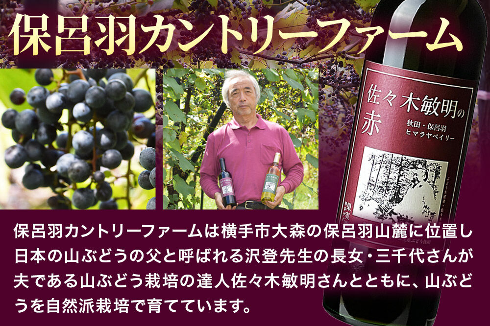 佐々木敏明の赤白飲みくらべ 秋田・保呂羽ヒマラヤベイリー ／ペガサスブラン 720ml×各1本 計2本