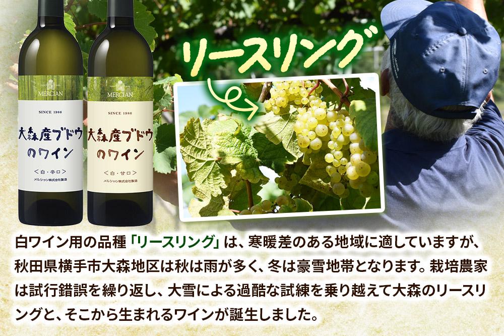 大森産ワインの甘辛飲みくらべ  750ml×各1本 計2本