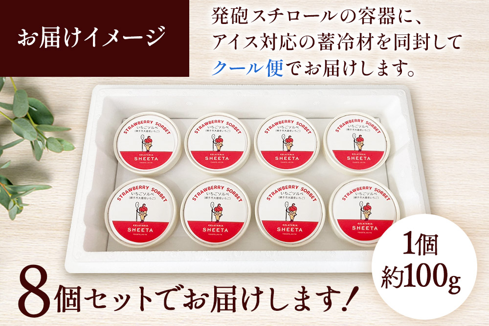 ジェラート いちごソルベ 約100g×8個