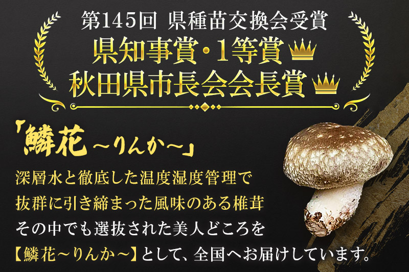 鱗花 -錦-（生椎茸） 約1kg