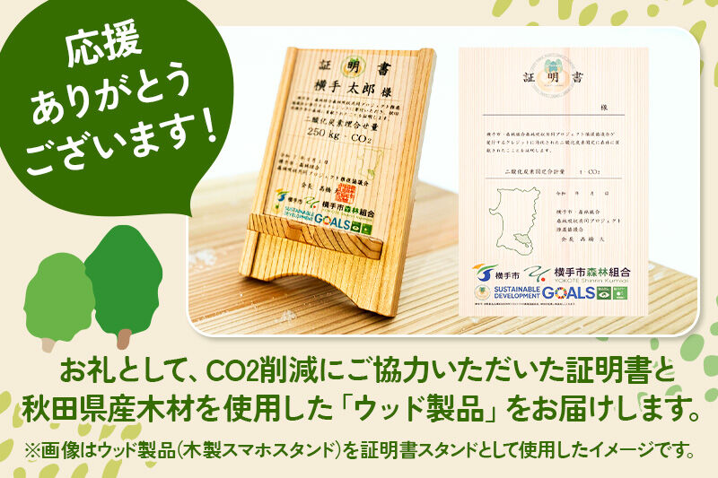 横手J‐クレジットで横手の森林を身近に! CO2削減 750kg相当 [環境保護 森林保全 森林保護 SDGs エコ eco 二酸化炭素 CO2]