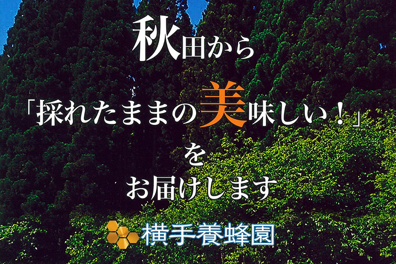 アカシアはちみつボトル 計600g（300g×2本）