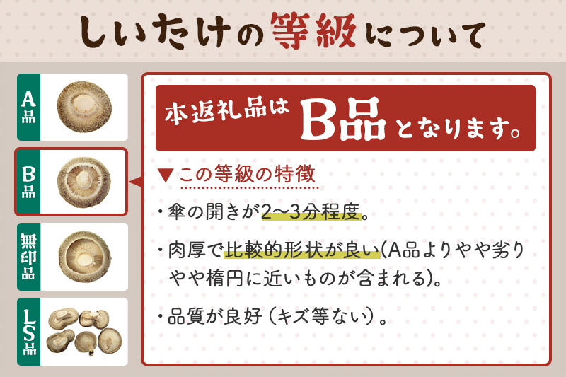 しいたけ B品 6M（約100g）×30パック