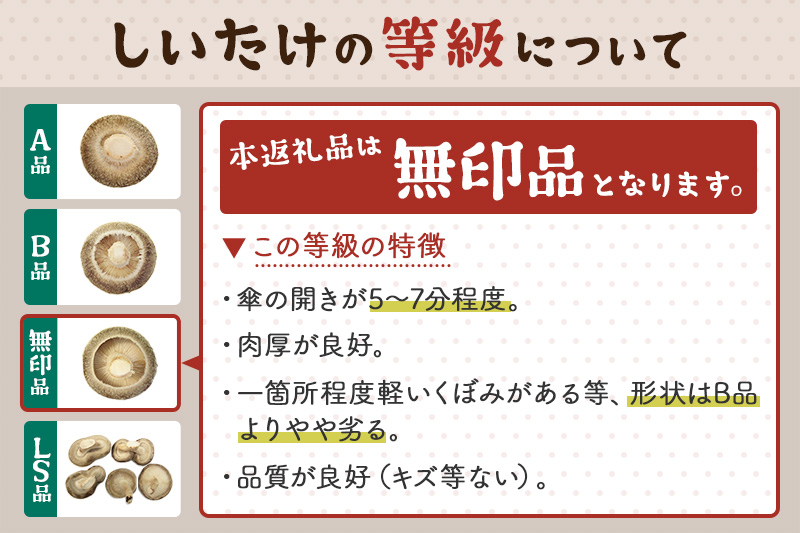しいたけ 無印品 10S（約100g）×30パック