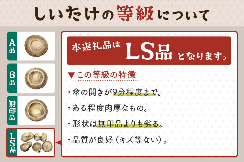 しいたけ 無印品 LS（約100g）×30パック
