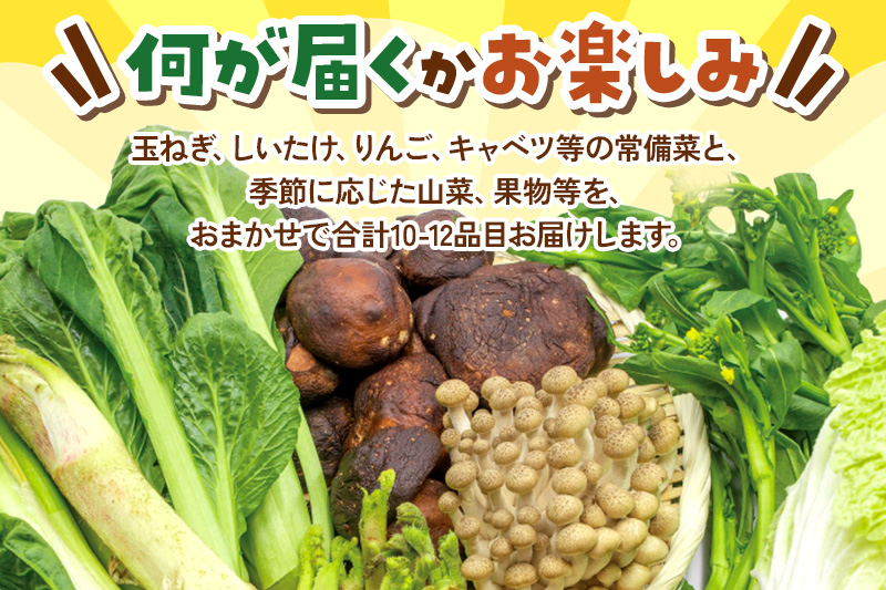 和泉青果六代目が選ぶ 秋田の季節野菜おまかせセット 10～12品目