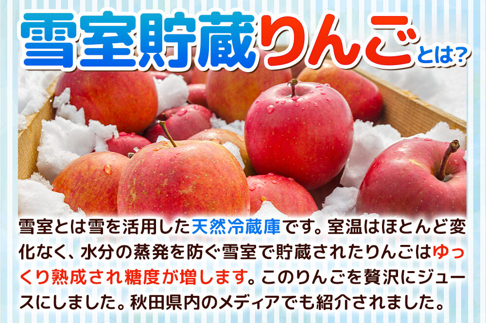 雪室貯蔵りんごを使用した贅沢ふじりんごジュース 30袋 [りんご リンゴ 林檎 ストレート 甘味料不使用 果汁100%]