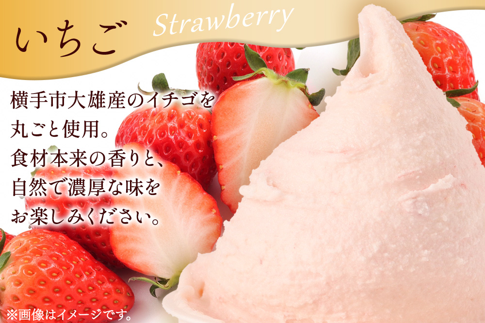 ジェラート詰合せ いちごセット（イチゴ・いちごソルベ・紅茶フランボワーズ・いちごミルフィーユ）約100g×8個（各種2個ずつ）