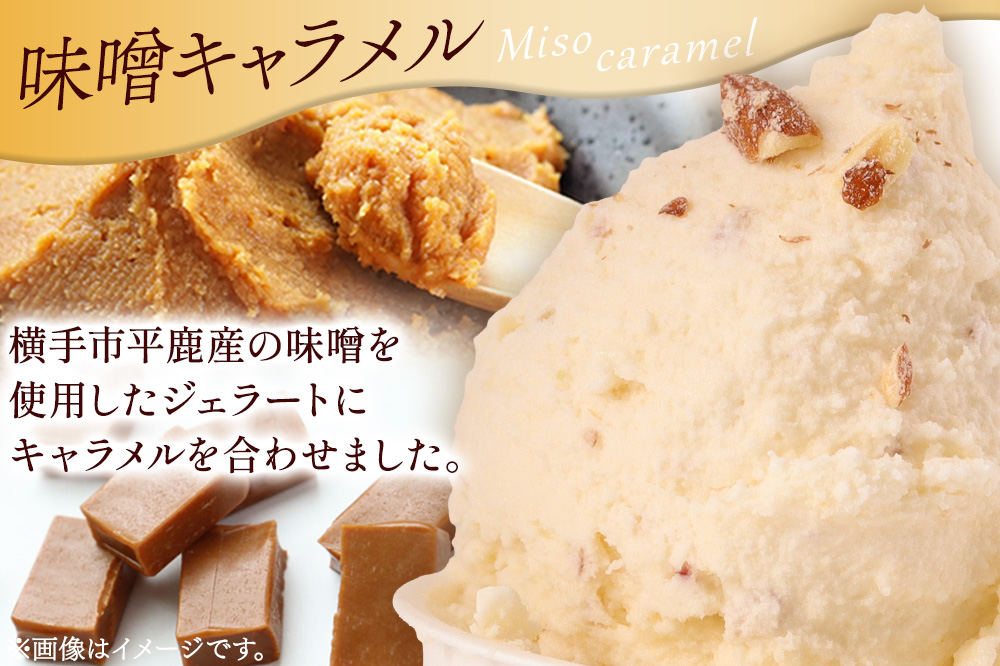 ジェラート 味噌キャラメル 約100g×8個
