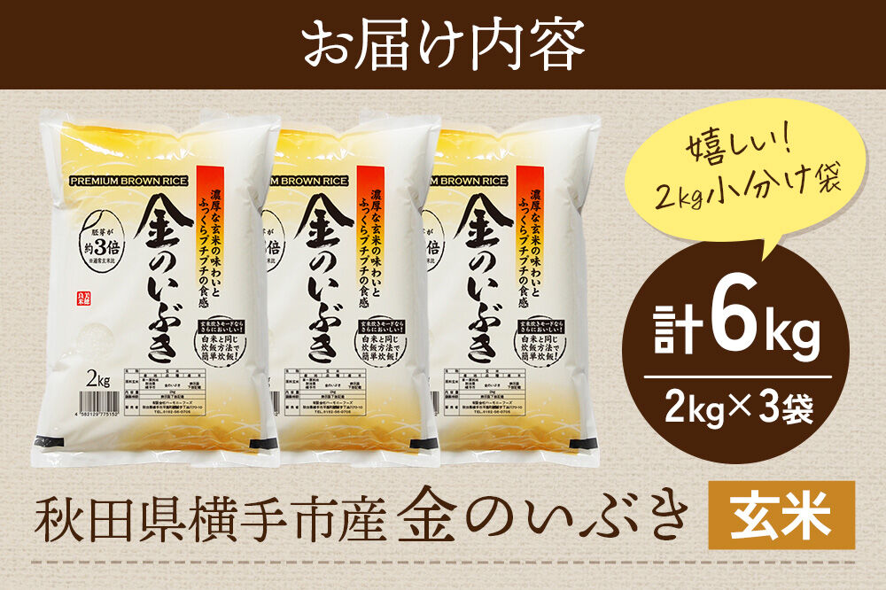 【玄米】令和7年産 金のいぶき 6kg（2kg×3袋） [秋田県産 金のいぶき 玄米 プレミアム玄米 6キロ]