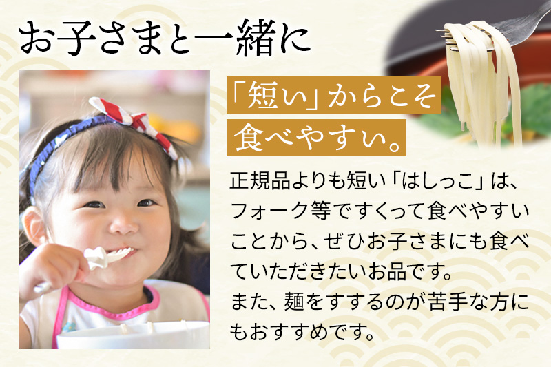 稲庭うどんはしっこ(ご家庭用) 1kg×5袋