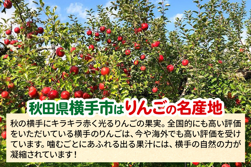12月中旬より発送 サンふじ 【秀品】約10kg （28～46玉）りんご 林檎