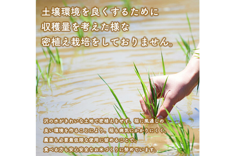 《定期便10ヶ月》あきたこまち 27kg【5分づき】令和7年産 秋田県産 こまちライン