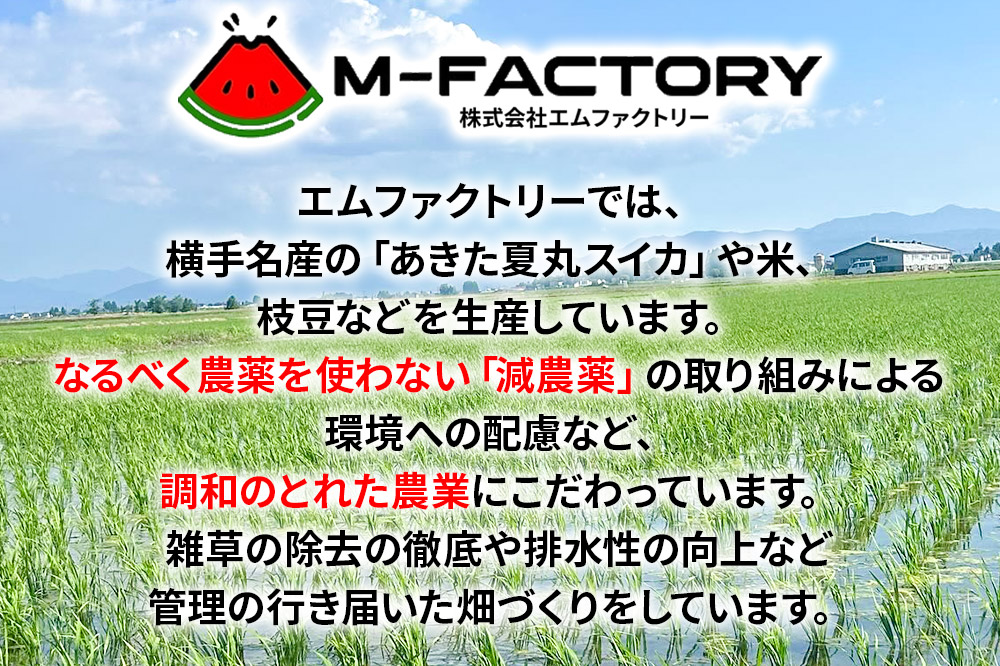 【白米】令和7年産 あきたこまち 20kg（5kg×4袋）横手市産