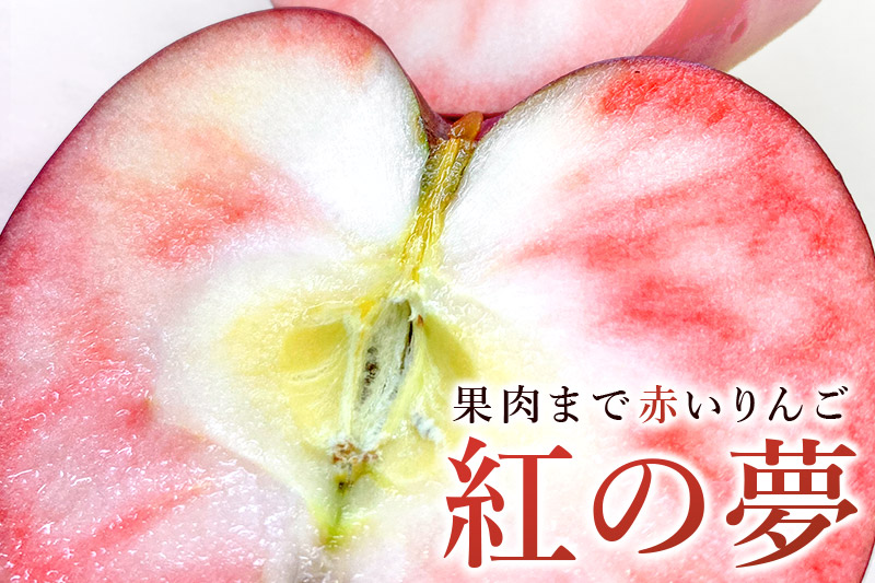 紅の夢 アップルパイ クレームパティシエール 5号サイズ 約450g（4～5人前）×2個