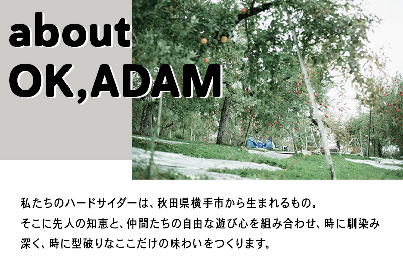 OK,ADAM ハードサイダーHOP IN！ 3本セット