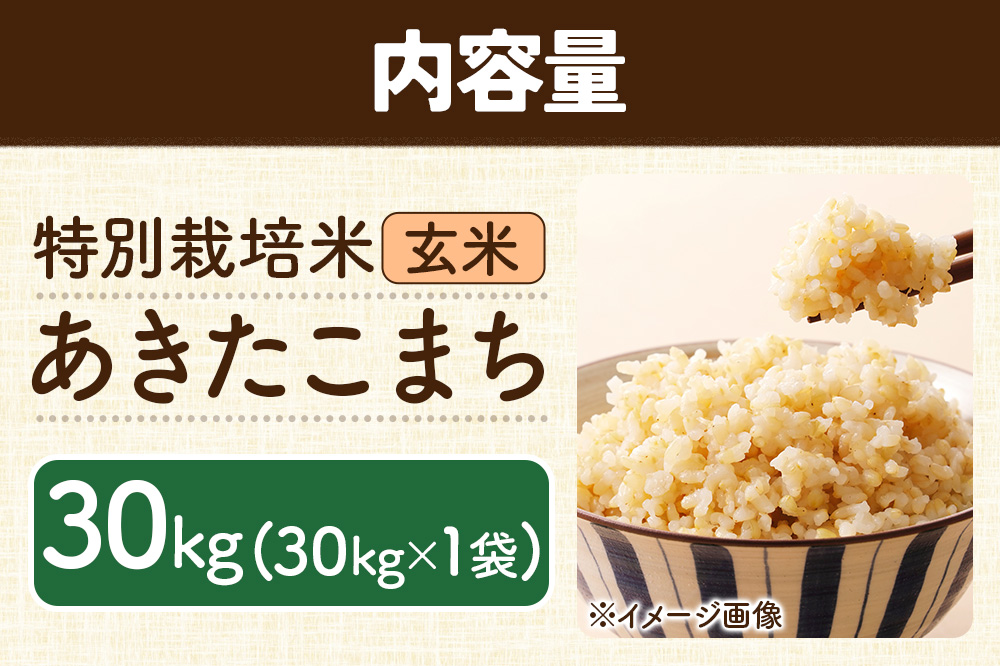 秋田県 横手市 【玄米】令和7年産 特別栽培米 あきたこまち 30kg（30kg×1袋）