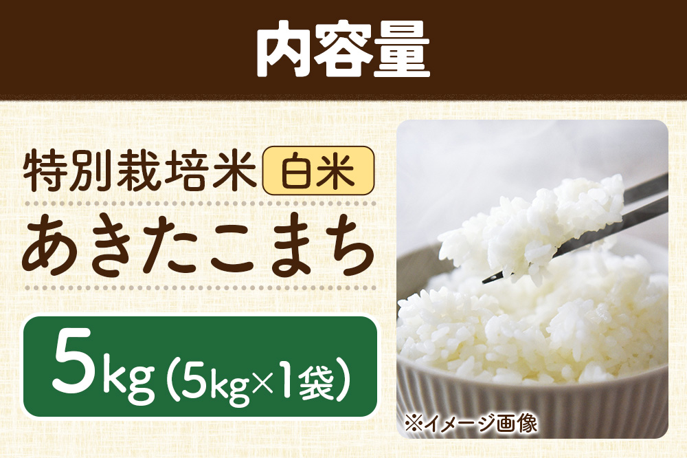 秋田県 横手市 【白米】令和7年産 秋田県産 特別栽培米 あきたこまち 5kg（5kg×1袋）