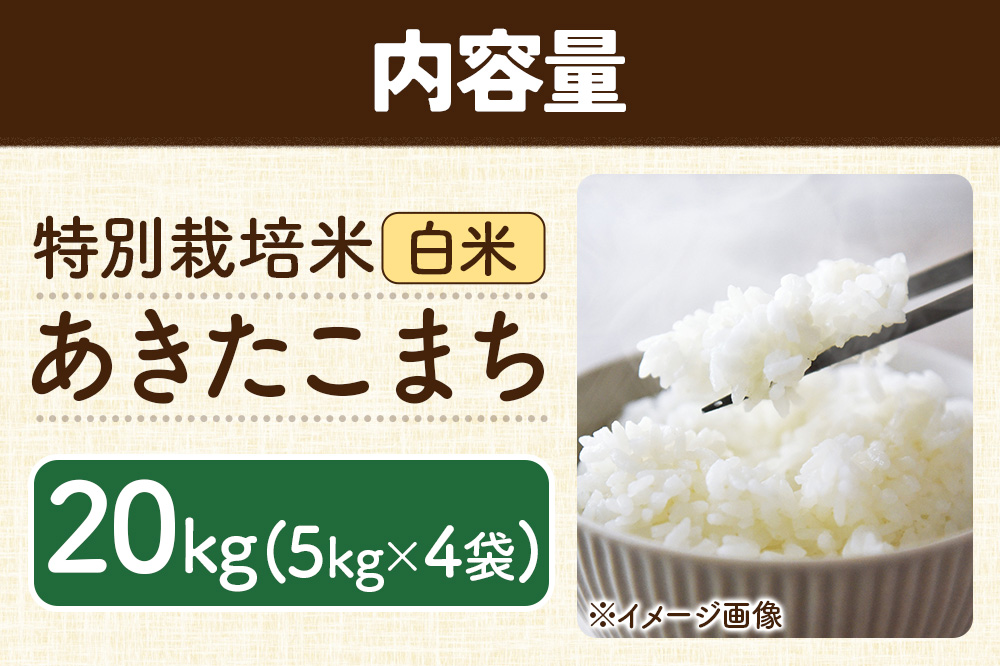 秋田県 横手市 【白米】令和7年産 秋田県産 特別栽培米 あきたこまち 20kg（5kg×4袋）